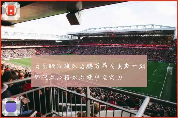 马竞瞄准狼队后腰若昂戈麦斯计划替代加拉格尔加强中场实力