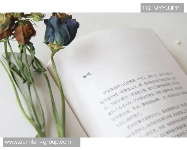 熬夜拼搏制作PPT的艰辛与坚持谁能理解我心中的疲惫与成就感